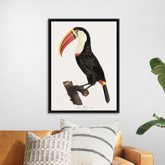 "Toucan from Histoire Naturelle des Oiseaux de Paradis et Des Rolliers (1806)", Jacques Barraband