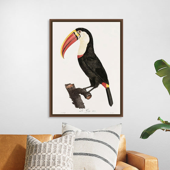 "Toucan from Histoire Naturelle des Oiseaux de Paradis et Des Rolliers (1806)", Jacques Barraband