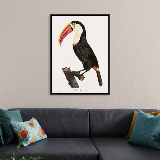 "Toucan from Histoire Naturelle des Oiseaux de Paradis et Des Rolliers (1806)", Jacques Barraband