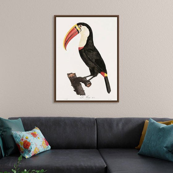 "Toucan from Histoire Naturelle des Oiseaux de Paradis et Des Rolliers (1806)", Jacques Barraband