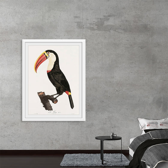 "Toucan from Histoire Naturelle des Oiseaux de Paradis et Des Rolliers (1806)", Jacques Barraband