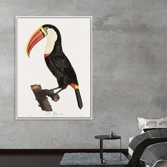 "Toucan from Histoire Naturelle des Oiseaux de Paradis et Des Rolliers (1806)", Jacques Barraband