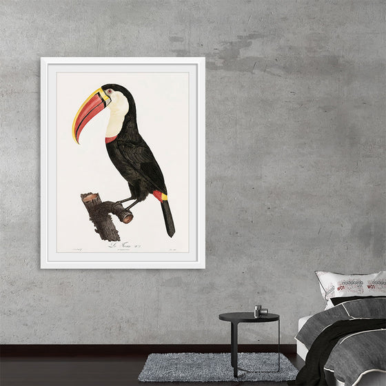 "Toucan from Histoire Naturelle des Oiseaux de Paradis et Des Rolliers (1806)", Jacques Barraband