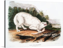  “White American Wolf (1845)” by John Woodhouse Audubon is a captivating masterpiece that transports viewers into the heart of America’s untamed wilderness. The intense gaze of the white wolf, meticulously rendered, pierces through the canvas, evoking both awe and reverence. Against a backdrop of lush greenery and distant mountains, Audubon captures the raw power and grace of this majestic creature. 