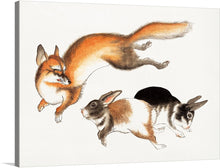  This print is a delightful depiction of a playful scene featuring a fox leaping over two hares. Rendered in a realistic style, the orange and white fox, with its black accents, is captured mid-leap, creating a sense of dynamic movement. 