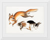 "Fox and Two Hares (1800-1870)"