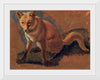 "Study of a Fox (1810-1830)", Jacques–Laurent Agasse