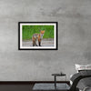 "Fox Standing on a Dirt Road"