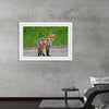 "Fox Standing on a Dirt Road"