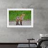 "Fox Standing on a Dirt Road"