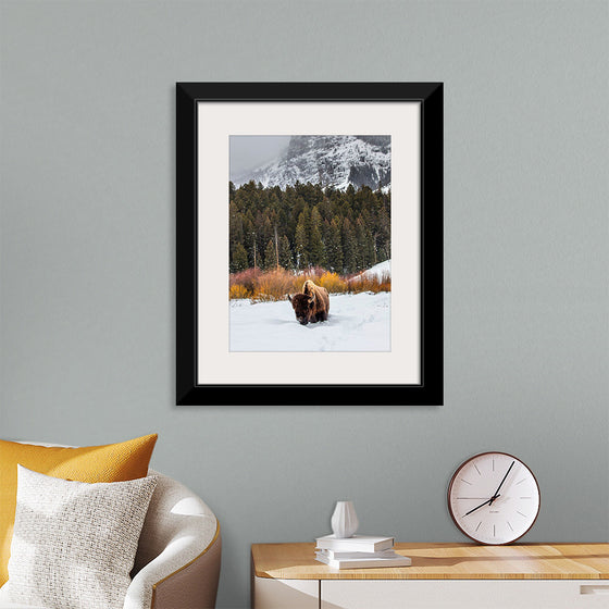 "Bison in Snowy Yellowstone National Park"