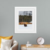 "Bison in Snowy Yellowstone National Park"