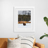 "Bison in Snowy Yellowstone National Park"