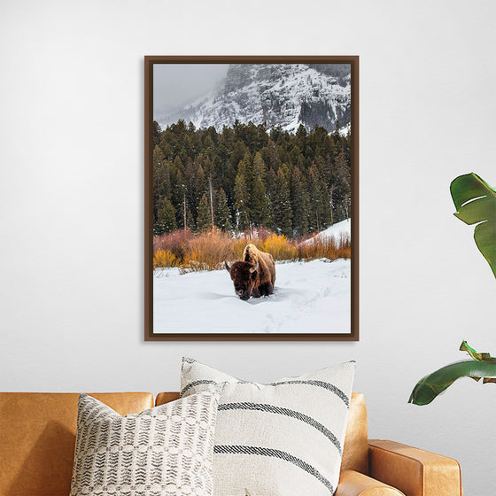 "Bison in Snowy Yellowstone National Park"