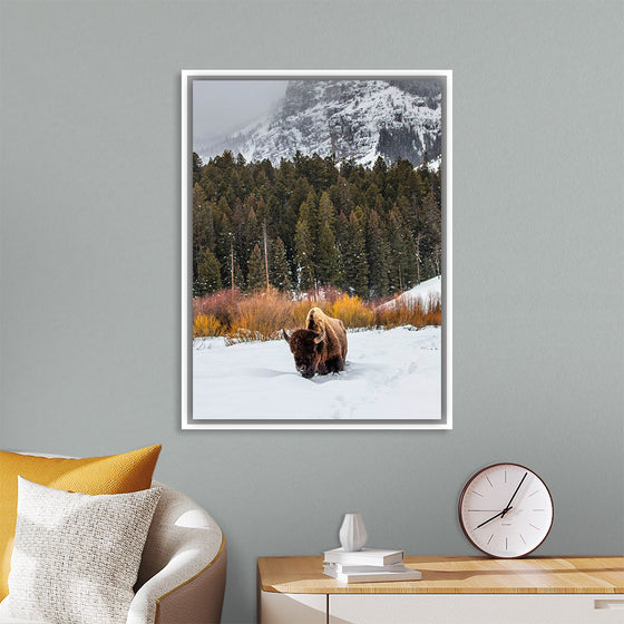 "Bison in Snowy Yellowstone National Park"