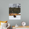 "Bison in Snowy Yellowstone National Park"