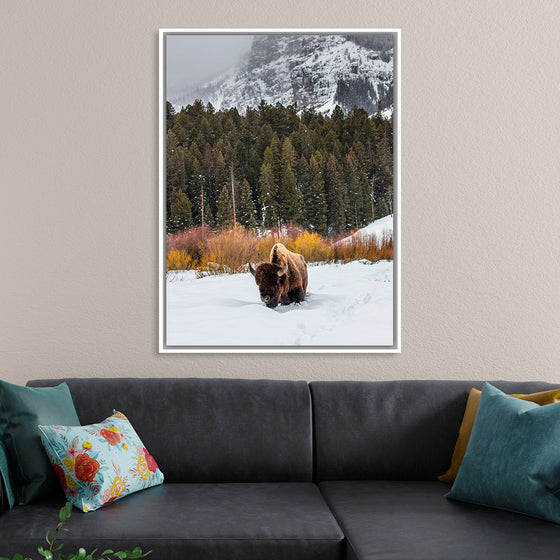 "Bison in Snowy Yellowstone National Park"