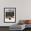 "Bison in Snowy Yellowstone National Park"