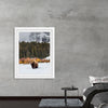 "Bison in Snowy Yellowstone National Park"