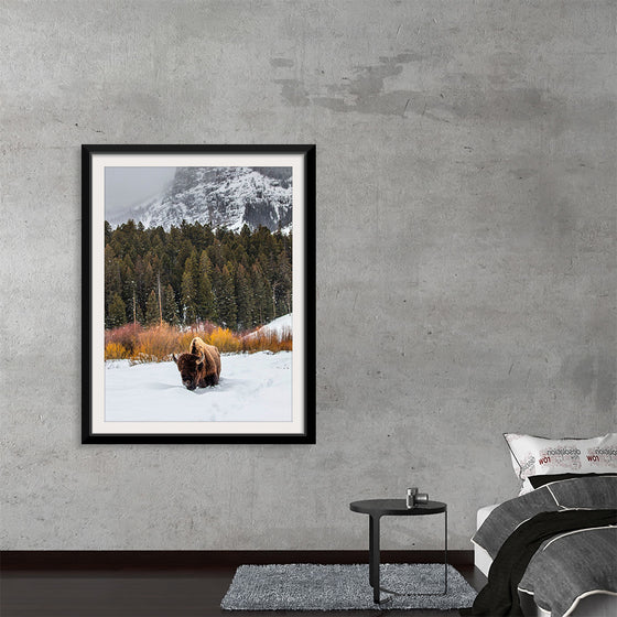 "Bison in Snowy Yellowstone National Park"