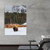 "Bison in Snowy Yellowstone National Park"