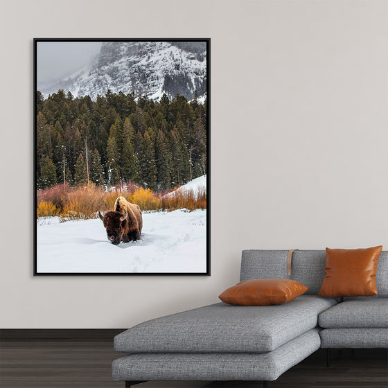 "Bison in Snowy Yellowstone National Park"