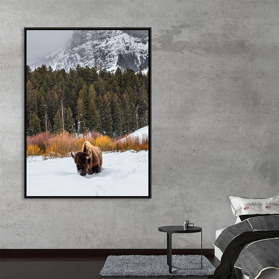 "Bison in Snowy Yellowstone National Park"