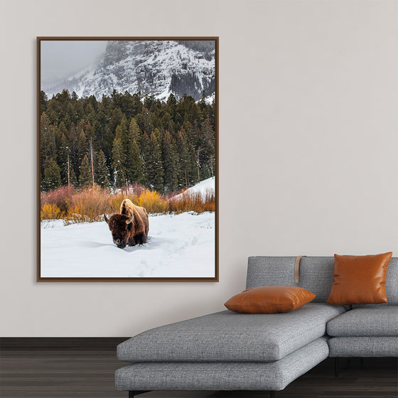 "Bison in Snowy Yellowstone National Park"