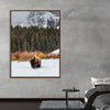 "Bison in Snowy Yellowstone National Park"