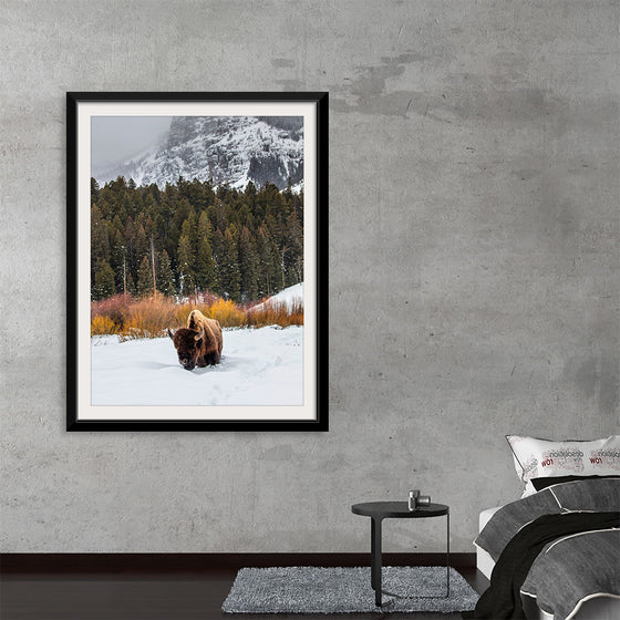 "Bison in Snowy Yellowstone National Park"