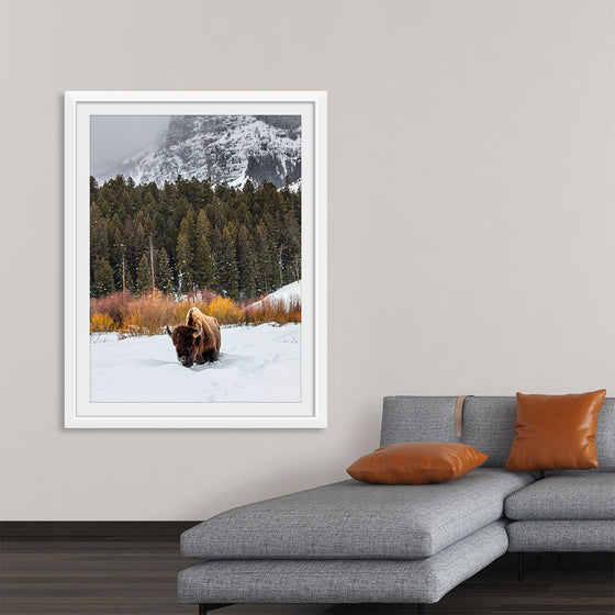 "Bison in Snowy Yellowstone National Park"