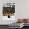 "Bison in Snowy Yellowstone National Park"