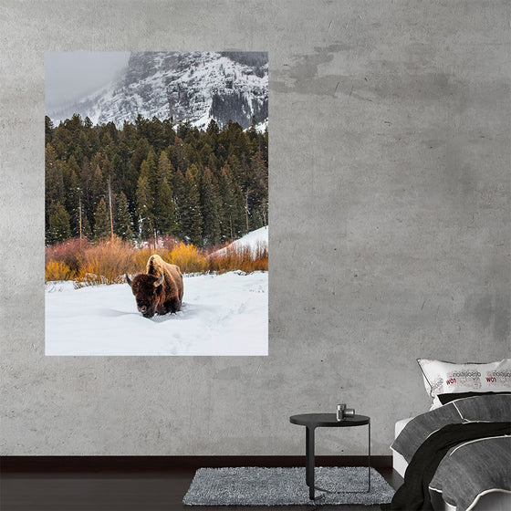 "Bison in Snowy Yellowstone National Park"