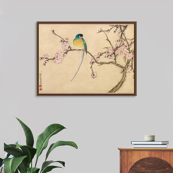 "Birds with Plum Blossoms (18th century)", Zhang Ruoai