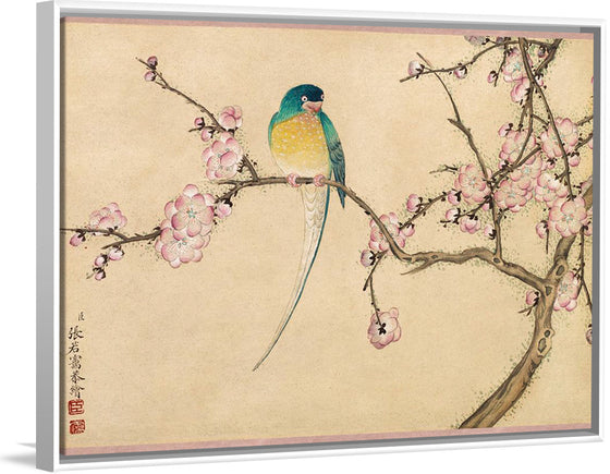 "Birds with Plum Blossoms (18th century)", Zhang Ruoai