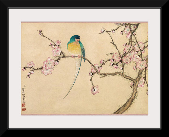 "Birds with Plum Blossoms (18th century)", Zhang Ruoai