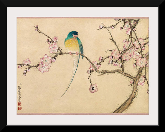 "Birds with Plum Blossoms (18th century)", Zhang Ruoai