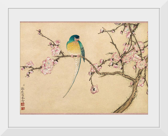 "Birds with Plum Blossoms (18th century)", Zhang Ruoai