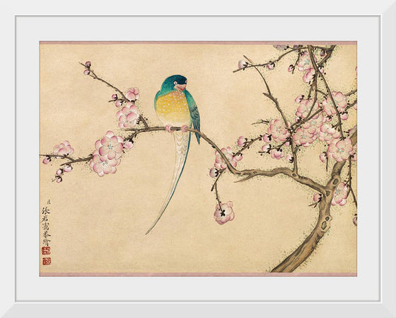 "Birds with Plum Blossoms (18th century)" by Zhang Ruoai