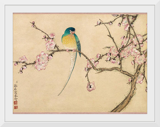 "Birds with Plum Blossoms (18th century)" by Zhang Ruoai