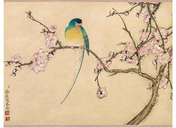 "Birds with Plum Blossoms (18th century)" by Zhang Ruoai