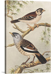 This exquisite print captures the serene beauty of two birds perched gracefully upon the delicate branches of a tree, surrounded by tender leaves. The birds, adorned with intricate patterns and distinct markings, gaze into the distance with an air of elegance. Every detail is rendered with meticulous precision, making this piece a testament to the artist’s mastery.