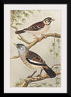 "Twee Vogels op Takken (1878–1917)", Theo van Hoytema