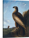 This exquisite print captures the majesty of a regal eagle, perched atop a rugged cliff, overlooking a tumultuous sea. The artwork, with its meticulous detail, brings to life the eagle’s majestic presence against a backdrop of azure skies and distant horizons. A distant ship on the horizon adds an element of mystery and exploration, making this print a captivating conversation starter.