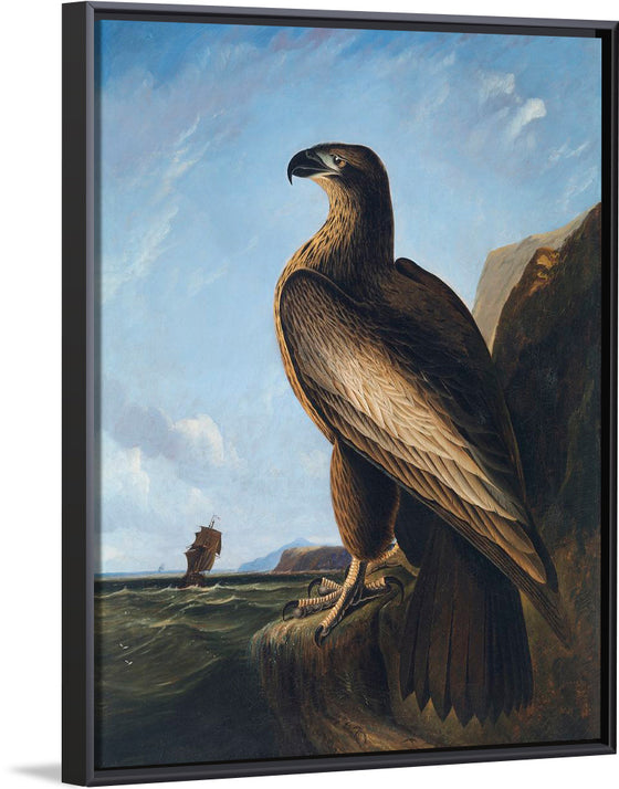 "Washington Sea Eagle (ca. 1836-1839)", John James Audubon