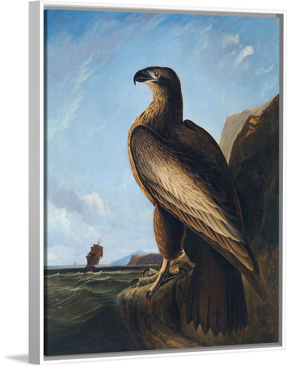 "Washington Sea Eagle (ca. 1836-1839)", John James Audubon