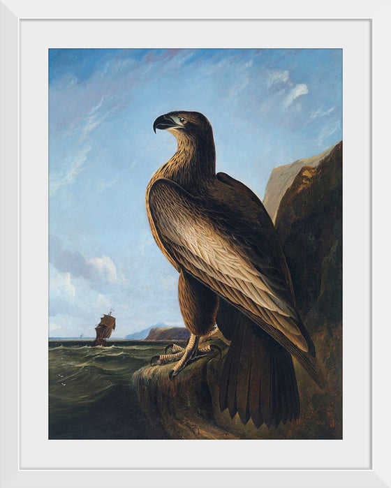 "Washington Sea Eagle (ca. 1836-1839)", John James Audubon