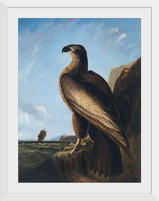 "Washington Sea Eagle (ca. 1836-1839)", John James Audubon