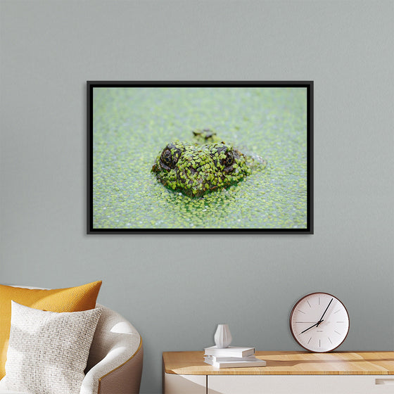 "Turtle in the Water"