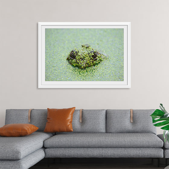 "Turtle in the Water"